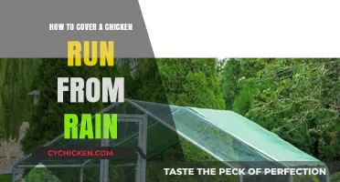 Protecting Your Chickens: Covering the Run from Rain