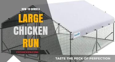 Effective Ways to Cover Your Large Chicken Run for Safety