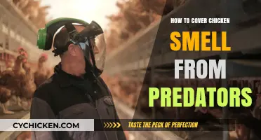 Effective Strategies to Mask Chicken Odor from Predators Safely