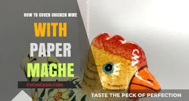 Paper Mache Art: Covering Chicken Wire