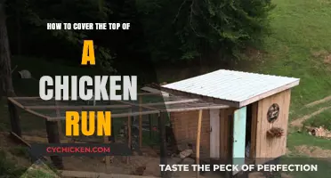 Protecting Your Chickens: Covering the Chicken Run