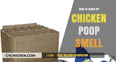 Effective Ways to Eliminate Chicken Poop Odor in Your Coop