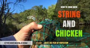 Crabbing Made Easy: Using String and Chicken for a Successful Catch