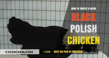 Creating the Perfect Black Polish Chicken