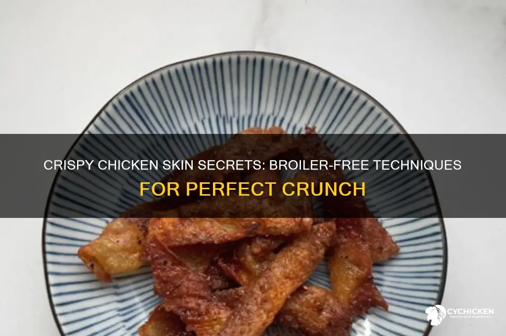 how to crisp chicken skin no broiler