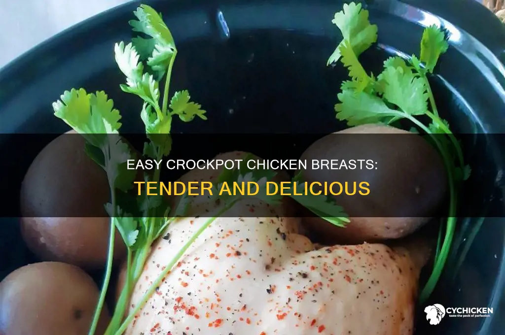 how to crockpot boneless skin less chicken brest