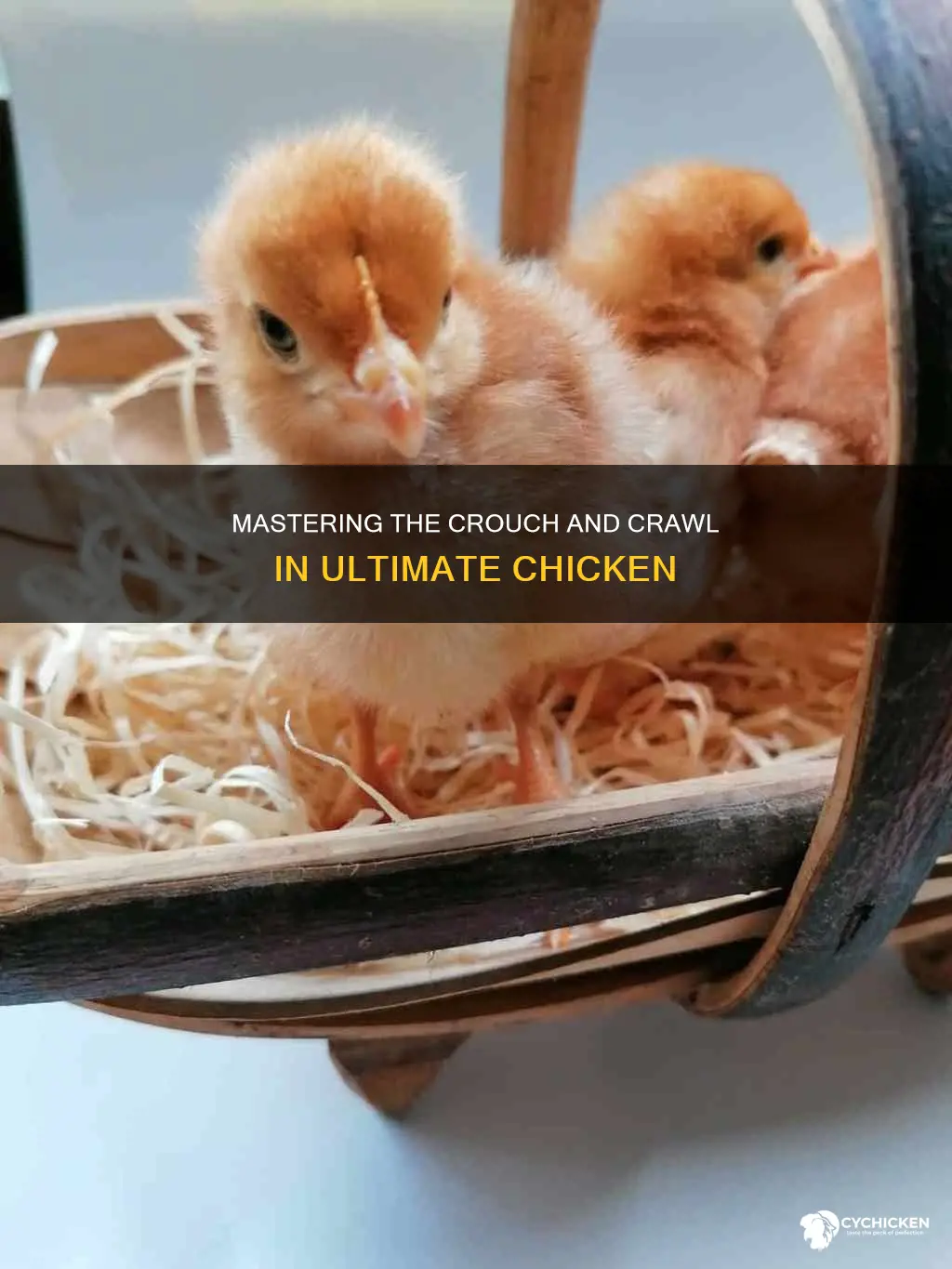 how to crouch and crawl in the ultimate chicken