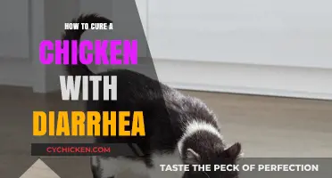 Effective Remedies for Treating Diarrhea in Chickens: A Comprehensive Guide