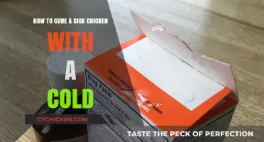 Curing Your Cold-Stricken Chicken: A Quick Guide