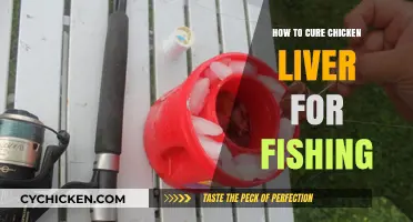 Mastering the Art of Curing Chicken Liver for Effective Fishing Bait