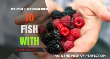 Curing Chicken Livers: The Ultimate Fishing Bait