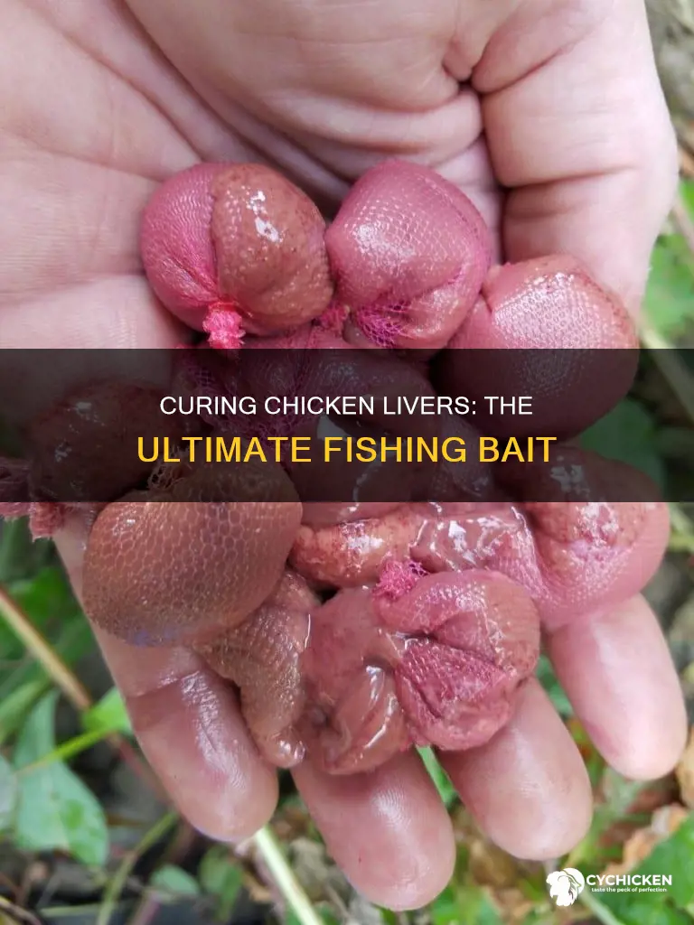 how to cure your chicken livers to fish with