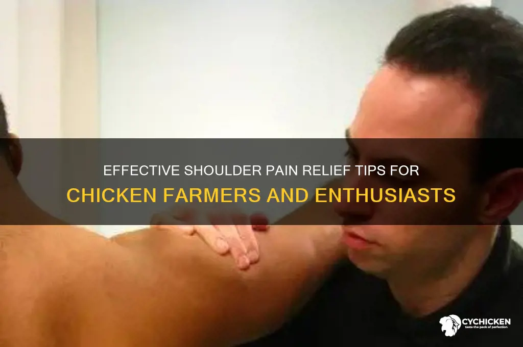 how to cure your shoulder when chicking