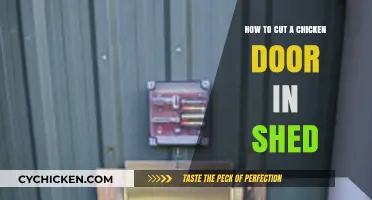 Creating a Chicken Door in Your Shed: A Step-by-Step Guide