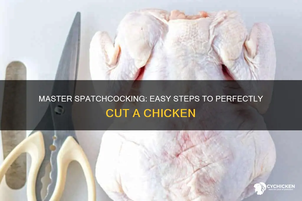 how to cut a chicken for spatchcock