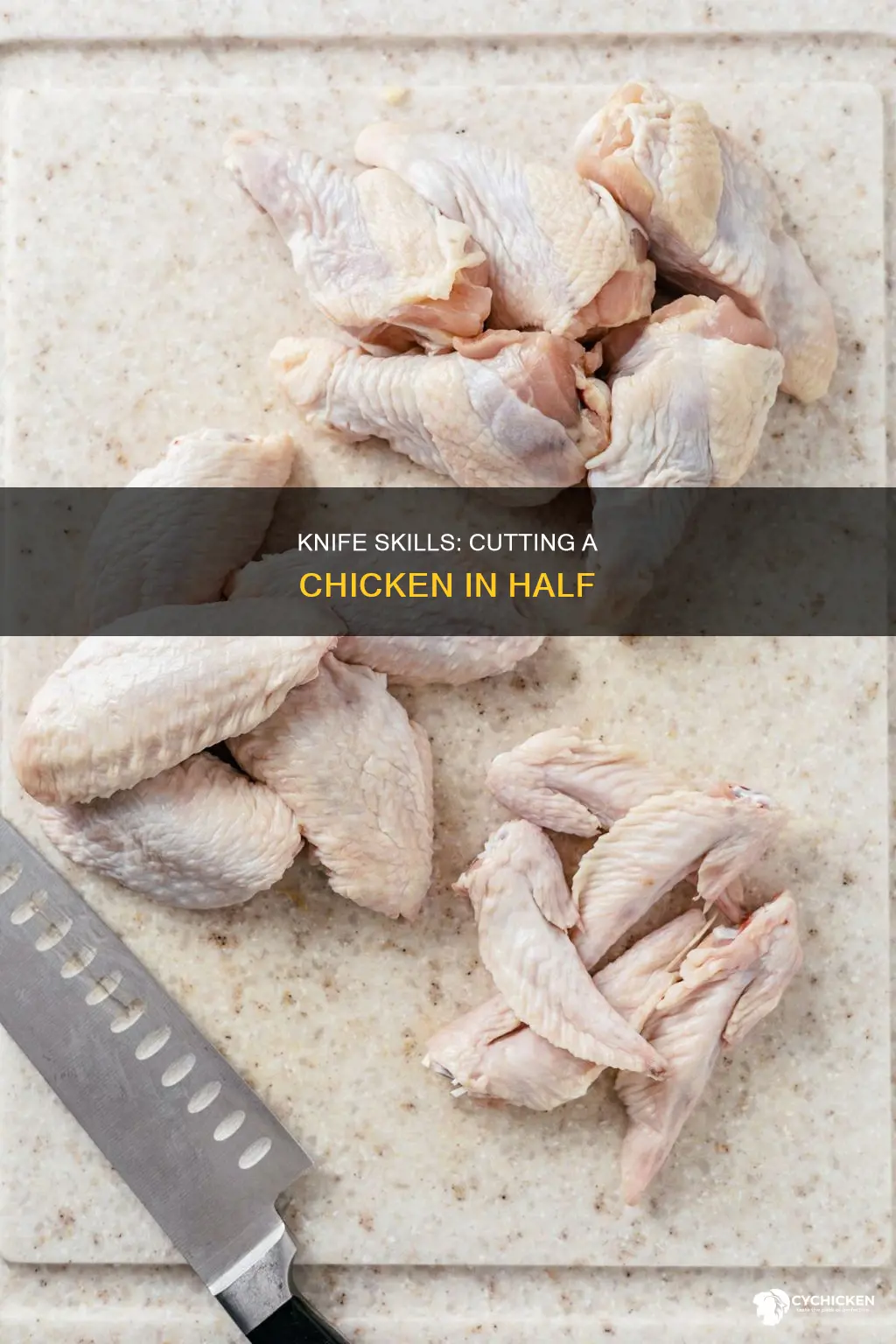 how to cut a chicken in half with a knife