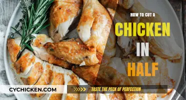 Mastering the Art: How to Cut a Chicken in Half