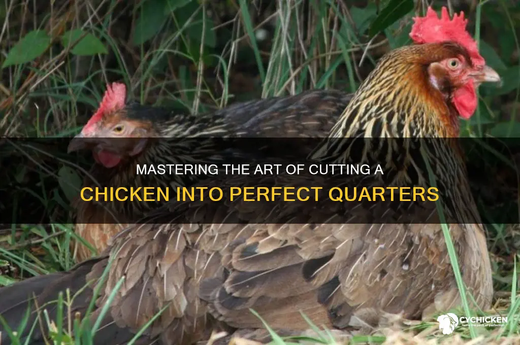 how to cut a chicken in quarters