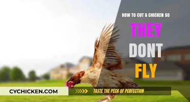 Keep Your Chickens Grounded: Techniques for Clipping Wings