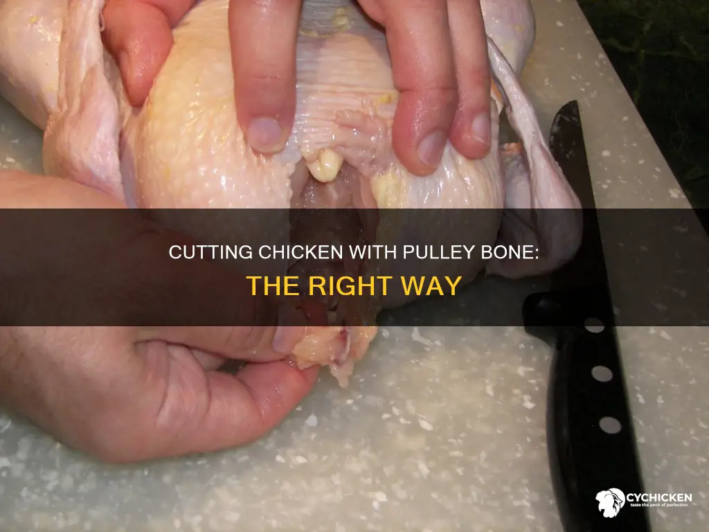 how to cut a chicken with the pully bone