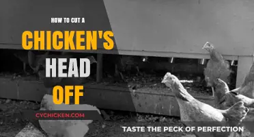 The Quickest Way to Decapitate a Chicken