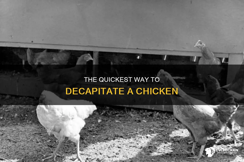how to cut a chicken