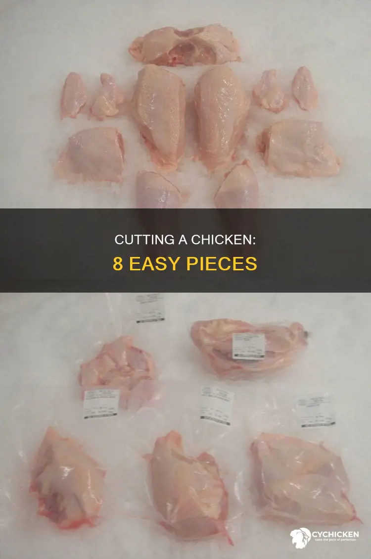how to cut a full chicken into 8 pieces