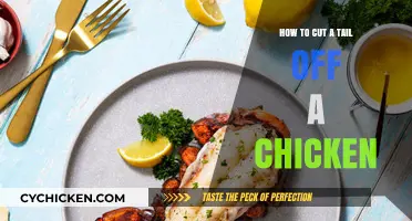 The Quick Guide to Painlessly Docking Chicken Tail Feathers