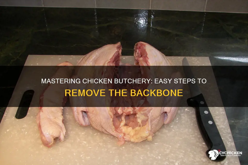 how to cut backbone out of chicken