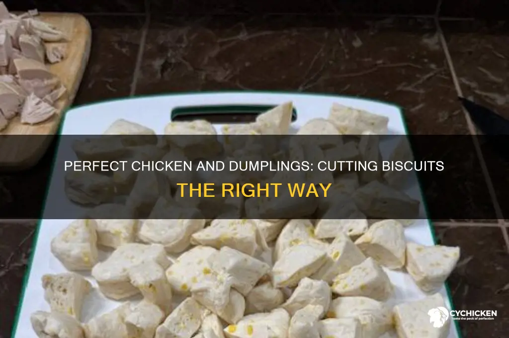 how to cut biscuits for chicken and dumplings