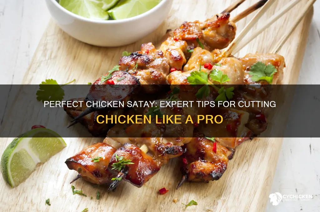 how to cut chicken for chicken satay