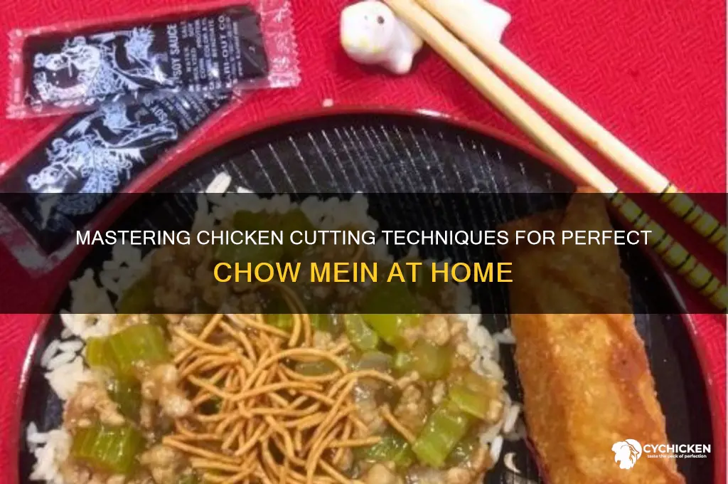 how to cut chicken for chow mein