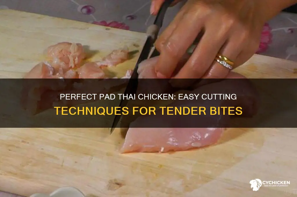 how to cut chicken for pad thai