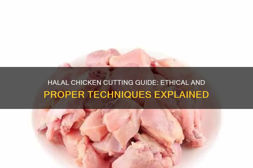 how to cut chicken in halal way