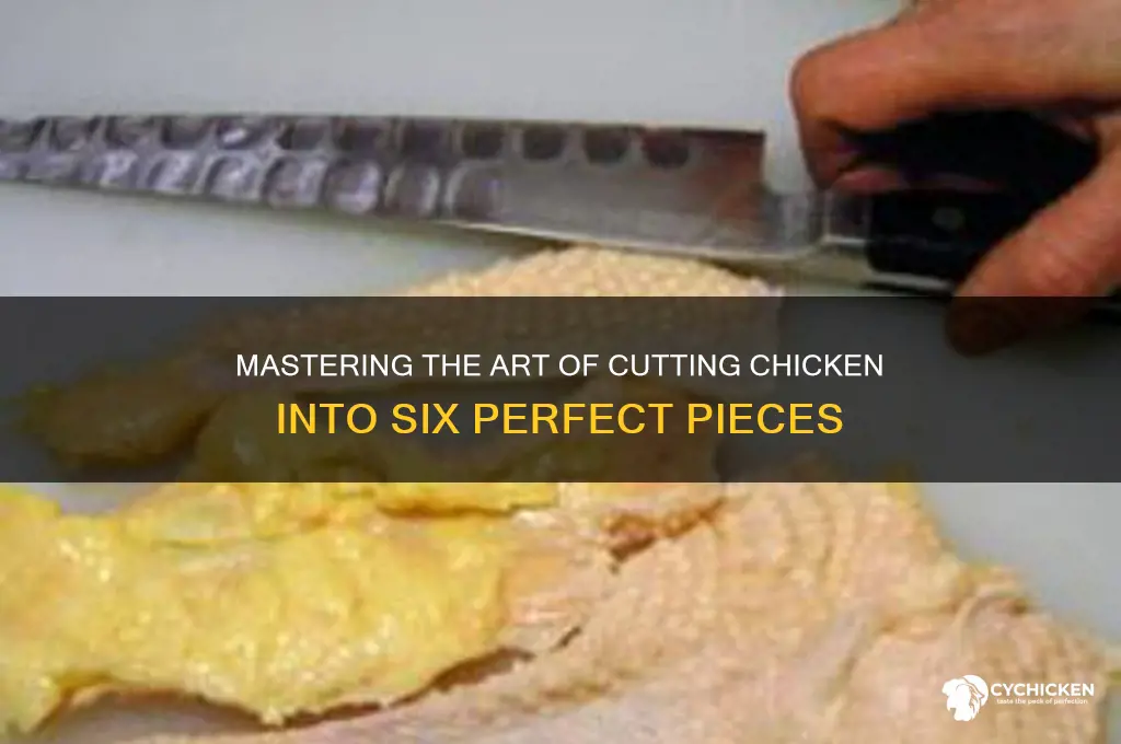 how to cut chicken into 6 pieces