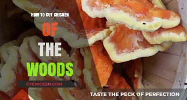 Mastering the Art of Cutting Chicken of the Woods: A Guide