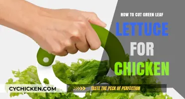 Preparing Green Leaf Lettuce for Chicken Salad