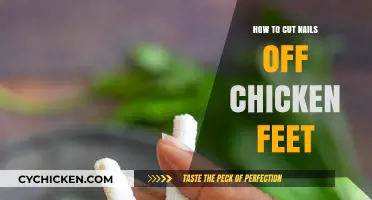 Trimming Chicken Feet Nails: A Step-by-Step Guide for Healthy Birds