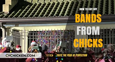 Safe and Effective Methods for Removing Bands from Chicks
