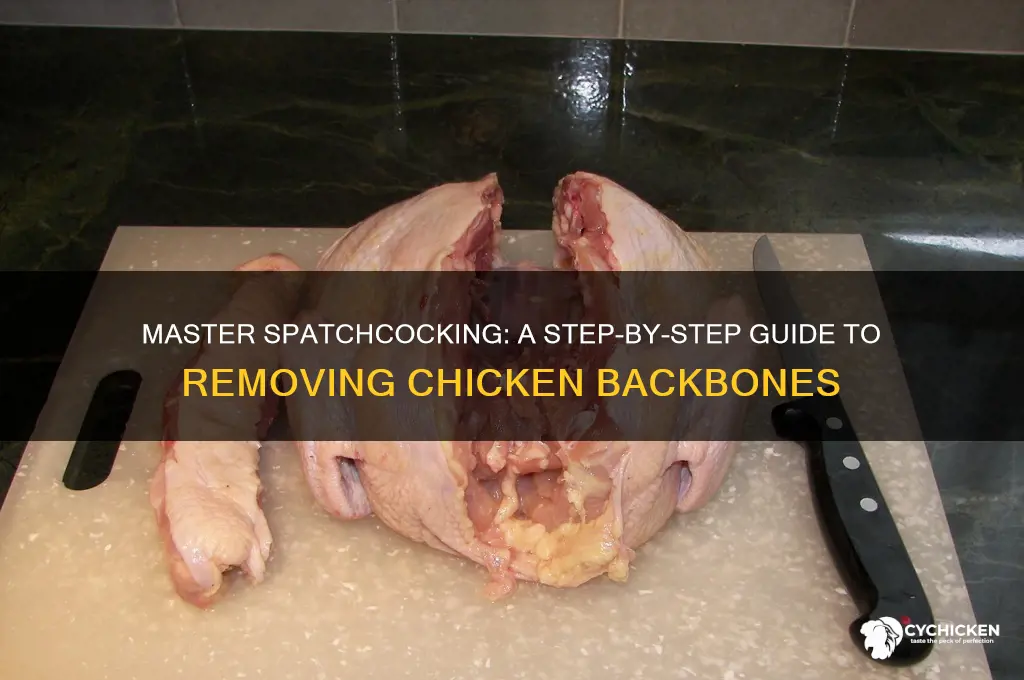 how to cut out a chicken backbone