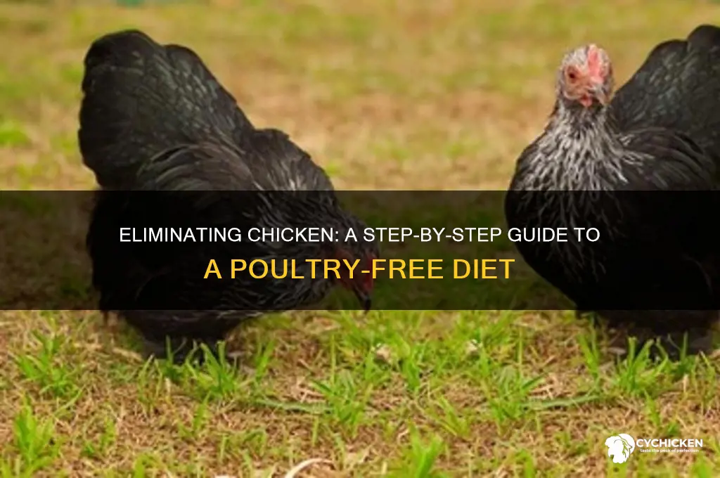 how to cut out chicken in diet