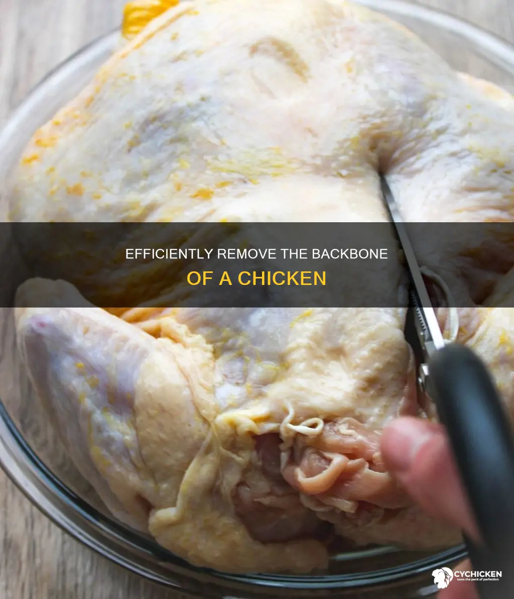 how to cut out the back bone of a chicken