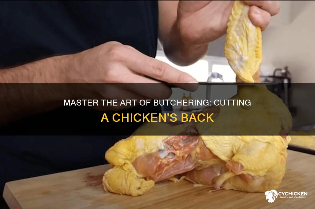 how to cut the back off a chicken