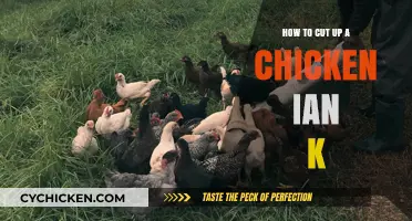 Mastering the Art of Cutting Up a Chicken