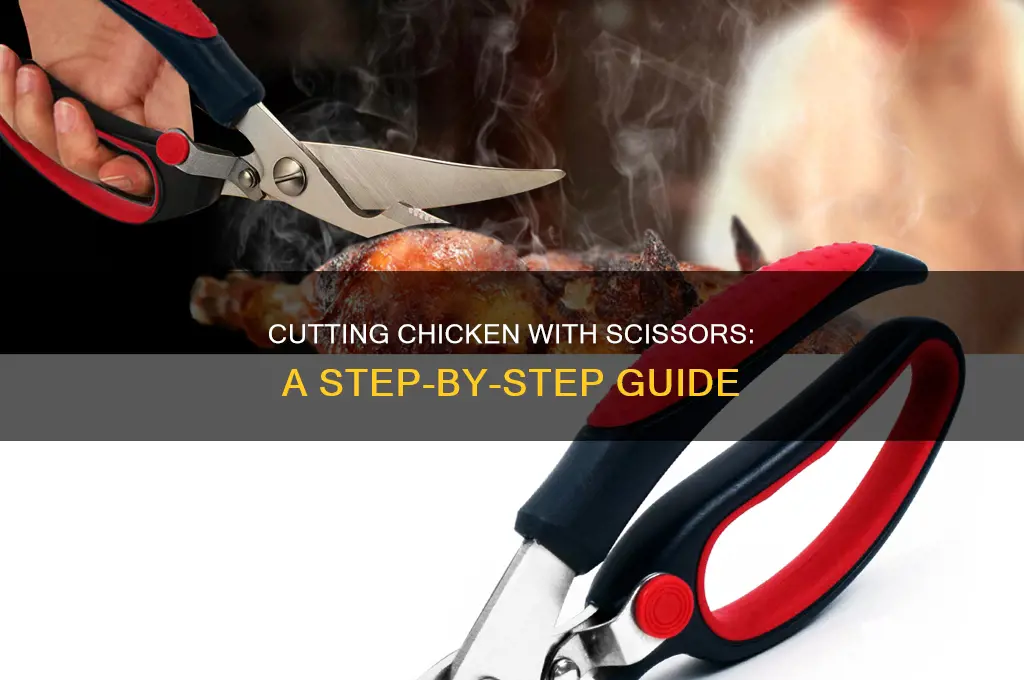 how to cut up a chicken with scissors