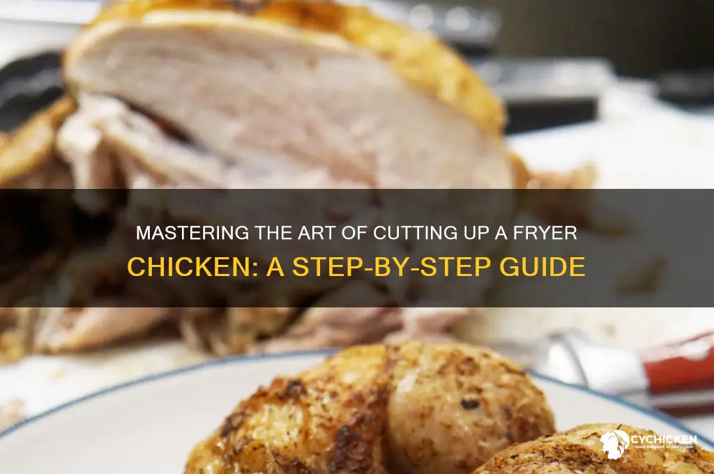 how to cut up a fryer chicken