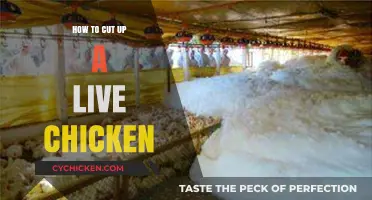 Mastering the Art of Humane Chicken Butchering: A Step-by-Step Guide