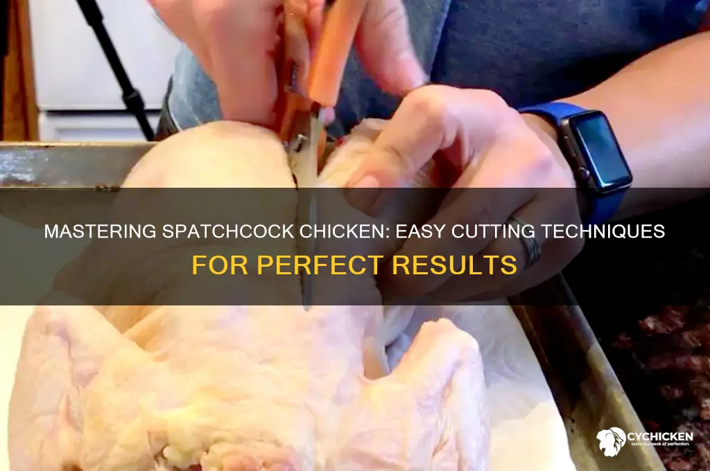 how to cut up a spatchcock chicken