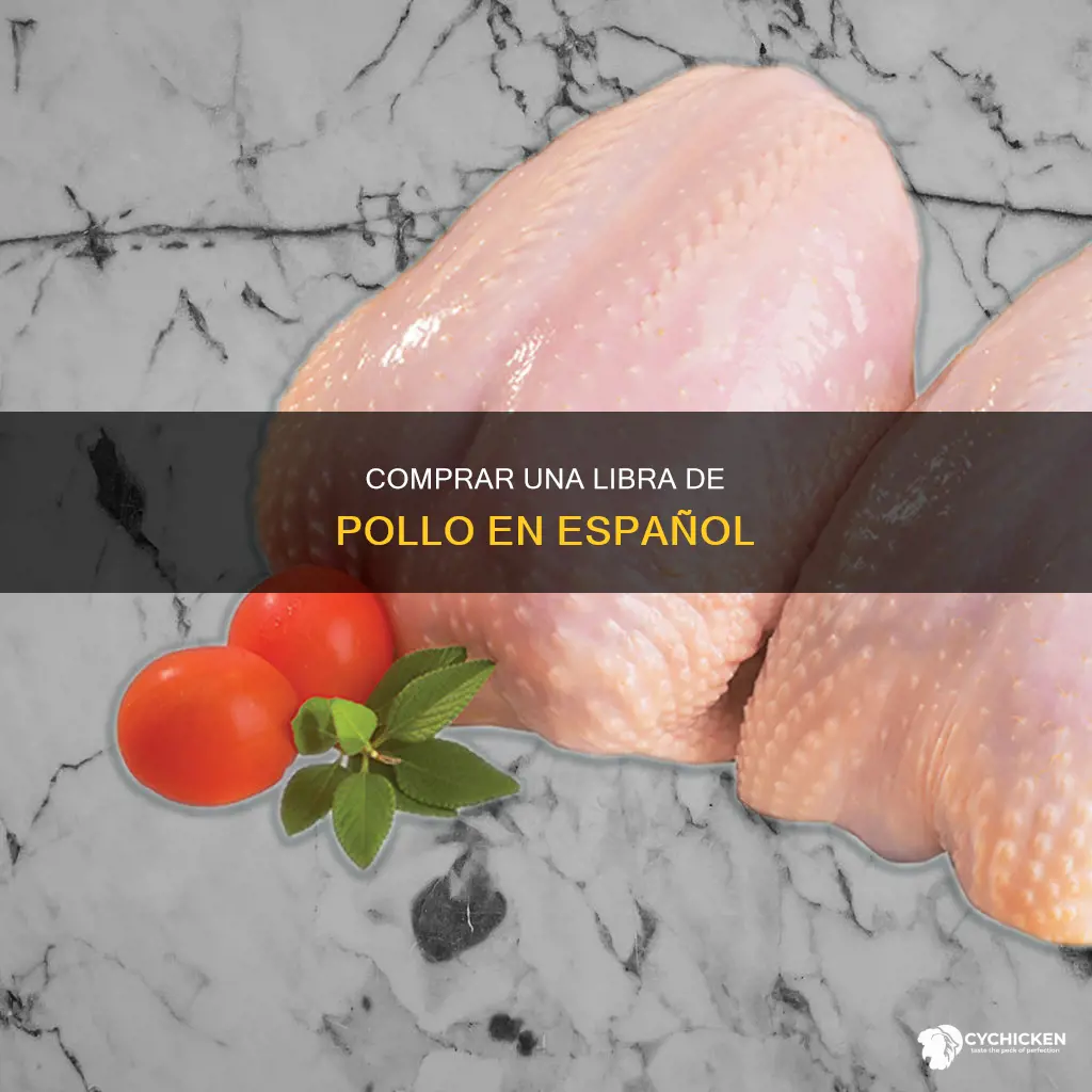 how to day a pound of chicken in spainsh
