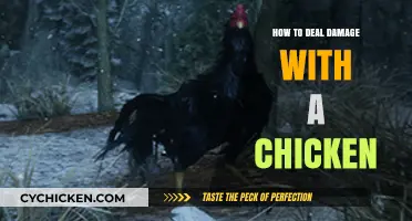 Mastering the Art of Chicken Combat: Effective Damage Strategies